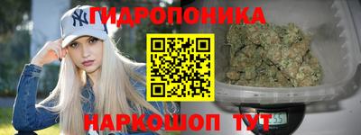 спиды Можга
