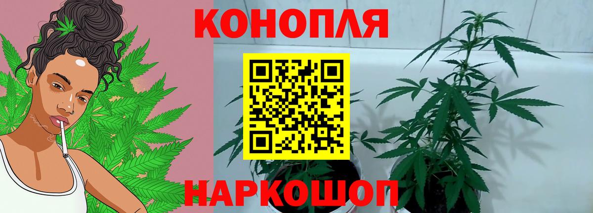Марихуана White Widow  МАРИХУАНА ГИДРОПОН  Учалы  Вход с VPN  Бошки марихуана Ganja  Шишки марихуана AK-47 